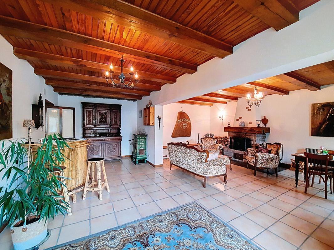 SAINT-DIE-DES-VOSGES A LUBINE Maison de caractère + activité chambres d'hôtes 481 m² Fort potentiel Cadre nature 4