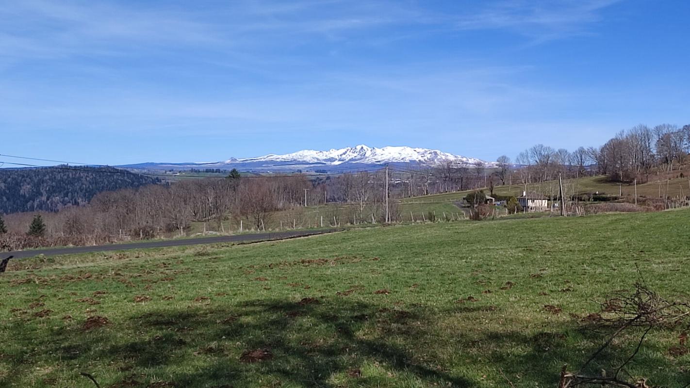 SAINT-AMANDIN Belle maison Cantalienne Saint Amandin 15190 16