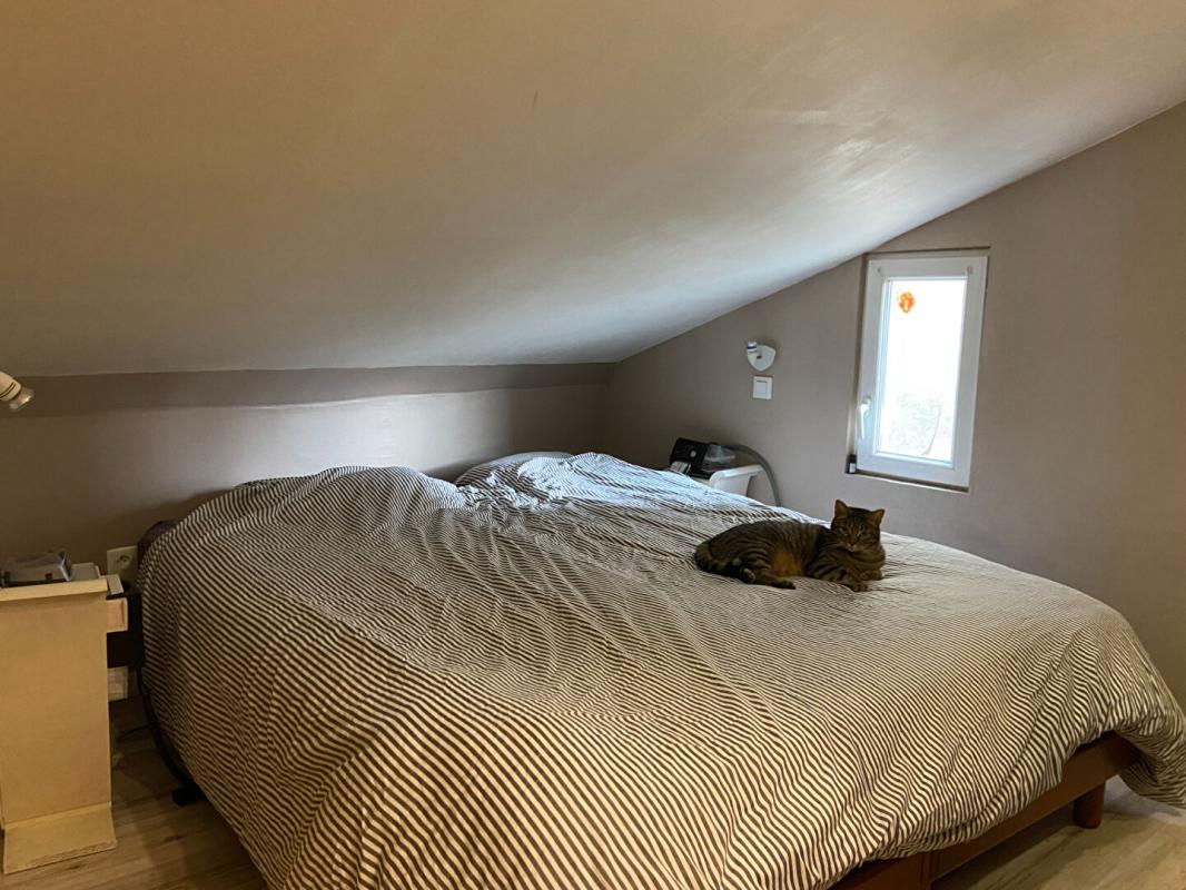 SABLE-SUR-SARTHE Maison et local commercial- Sable Sur Sarthe 8 pièce(s) 162 m2 6