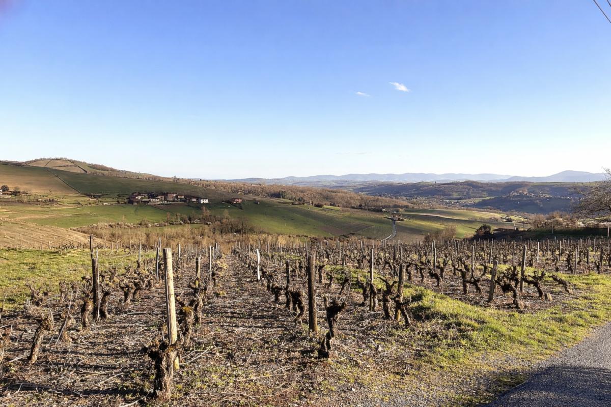 LETRA LETRA 69620 . Maison 8 pièces 190 m2 sur terrain de 1955m2 avec piscine et hangar 2