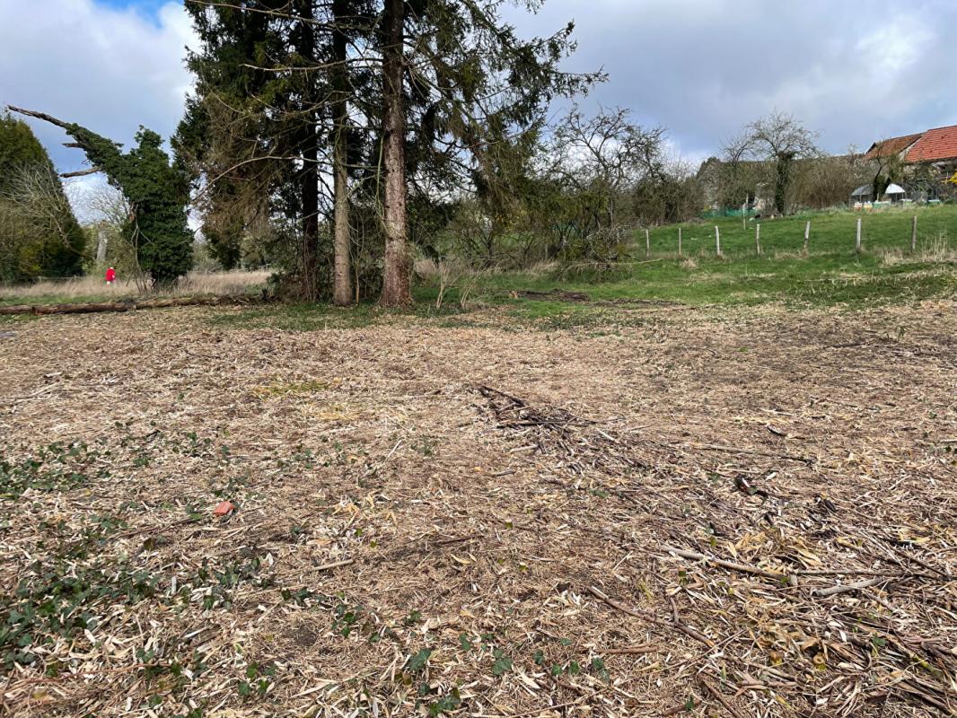 NEUILLY-SAINT-FRONT Terrain Neuilly Saint Front 2093 m2 11