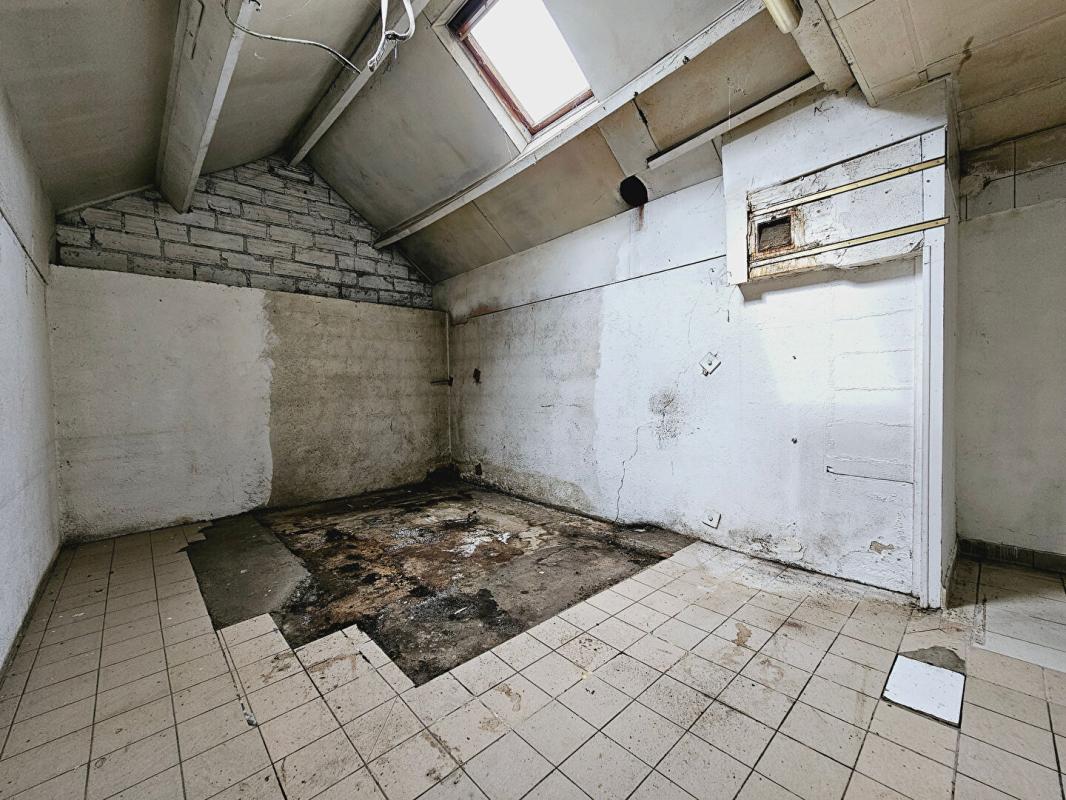 SAINT-DOULCHARD SAINT DOULCHARD IMMEUBLE DE 285M² GARAGE DEPENDANCES 6