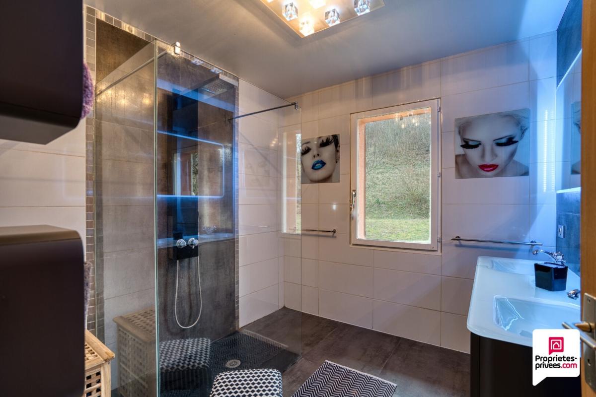 FONTAINES-SAINT-MARTIN Magnifique maison familiale de 158 m2  + sous sol - Terrain  2445 m2 12