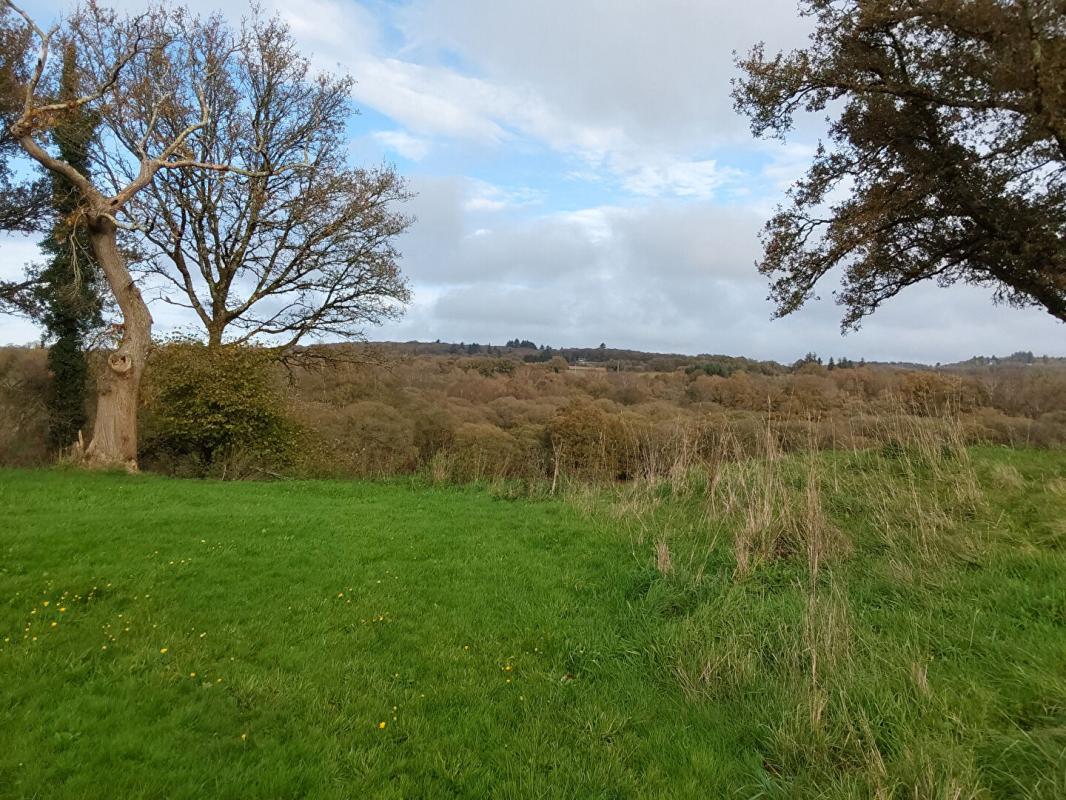 GLOMEL Maison Glomel 5 pièce(s) 171 m2 16