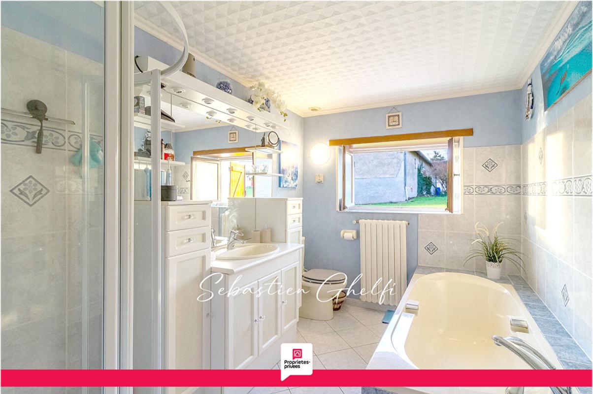 VILLEFRANCHE-SUR-CHER belle maison de plain-pied avec hangar et grand terrain 12