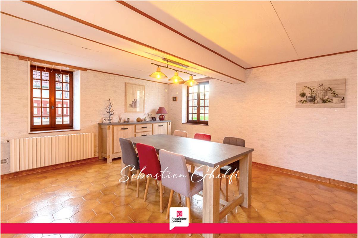 VILLEFRANCHE-SUR-CHER belle maison de plain-pied avec hangar et grand terrain 6