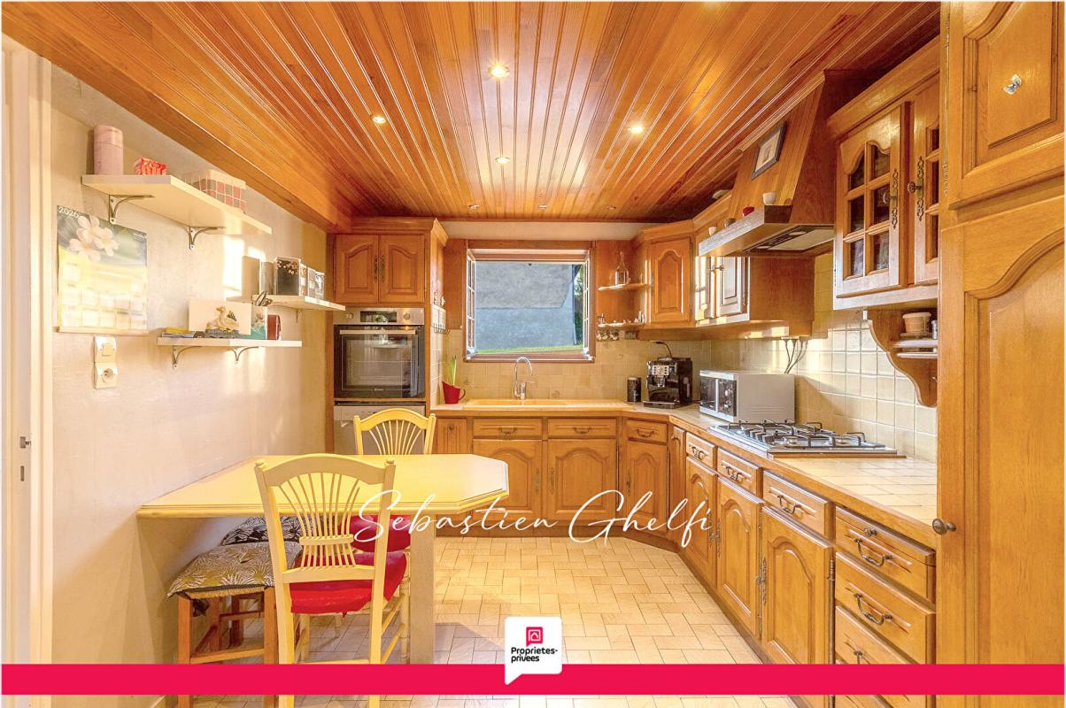 VILLEFRANCHE-SUR-CHER belle maison de plain-pied avec hangar et grand terrain 9