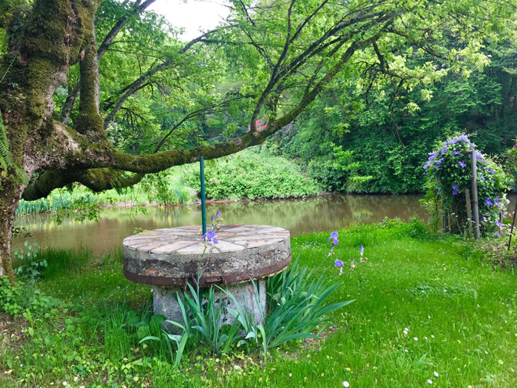 MAISONNAIS-SUR-TARDOIRE Proche de Rochechouart , authentique moulin avec rivière et chute d'eau -cadre naturel exceptionnel- 3