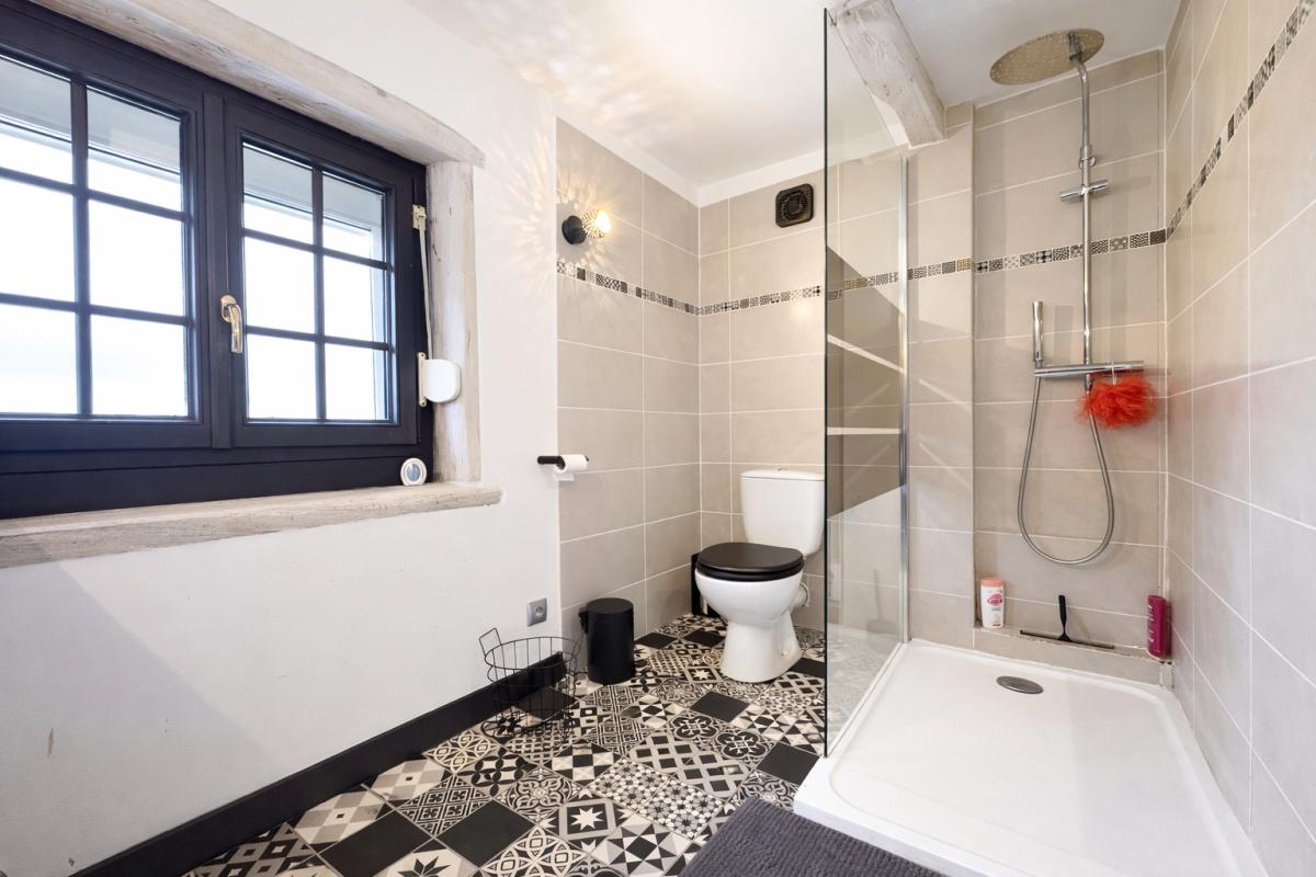 CHATILLON-SUR-INDRE Maison Chatillon Sur Indre 9 pièce(s) 255 m2 13