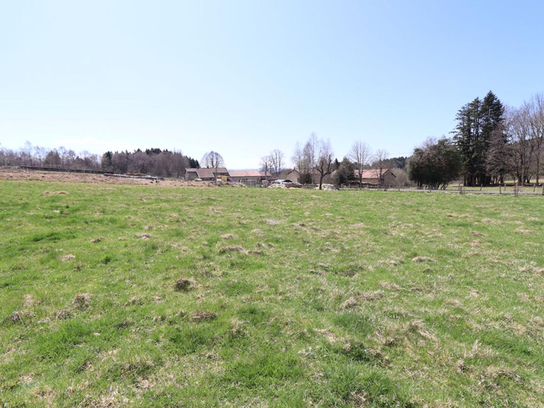 SAINT-PIERRE-LA-BOURLHONNE Maison Saint Pierre La Bourlhonne 7 pièce(s) 150 m2 environs et 1ha de terrain 15