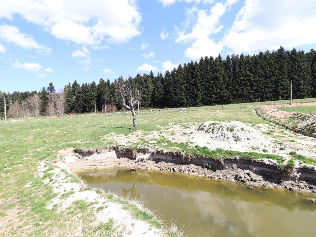 SAINT-PIERRE-LA-BOURLHONNE Maison Saint Pierre La Bourlhonne 7 pièce(s) 150 m2 environs et 1ha de terrain 4