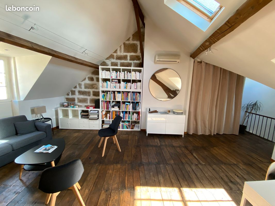 BRIVE-LA-GAILLARDE BRIVE Centre : Apt T5 de 110m² + Apt T2 de 40m² avec Terrasse 50 m² et Balcon 10