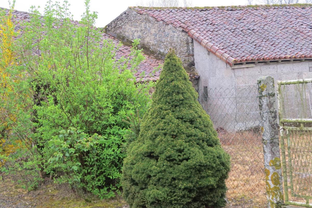 L'ABSIE Ancienne ferme entourée de granges en pierres 13