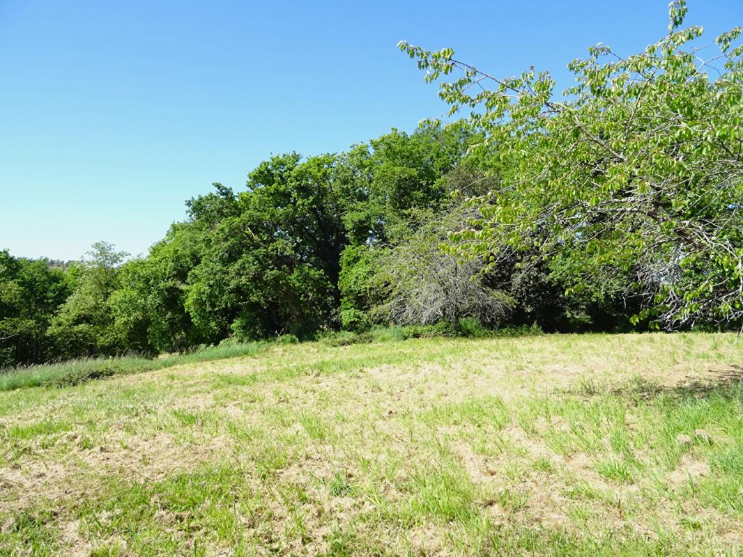 SAINT-AUBIN Landes 40250 Saint-Aubin, propriété 15ha environ 11