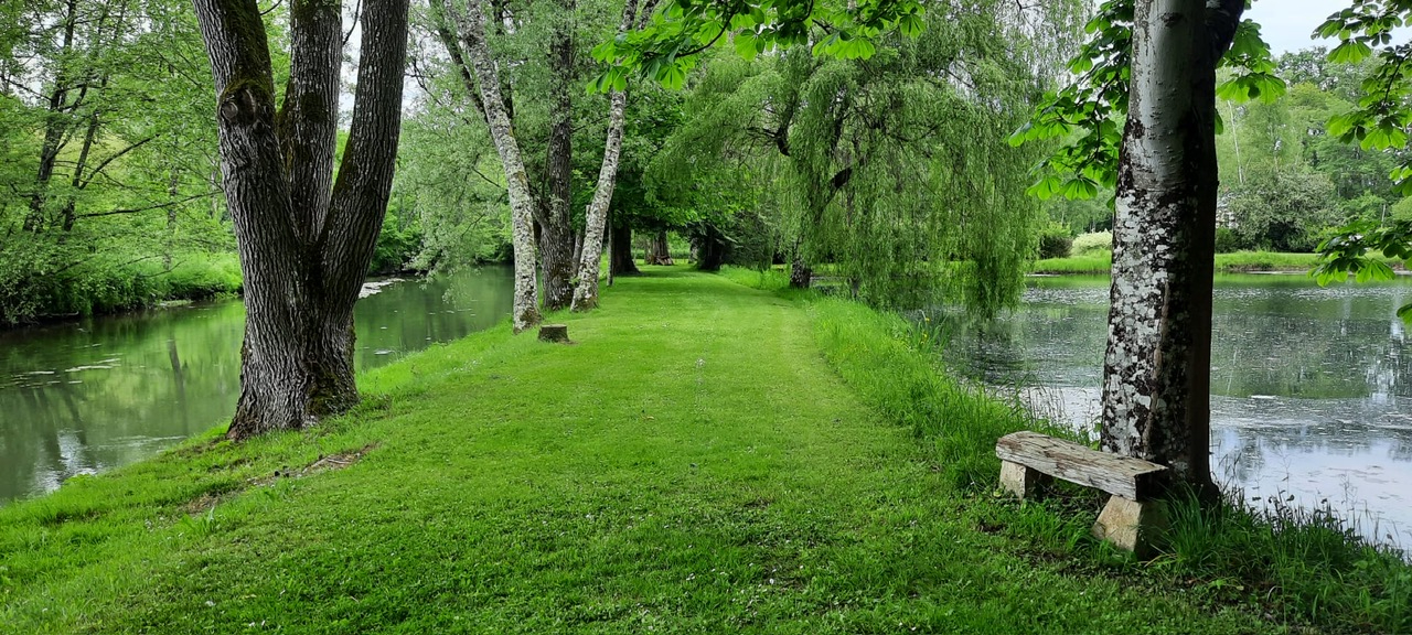 MONTARGIS A 1h30 de PARIS - Charmante MAISON avec ETANG de 5000 m2, édifiée sur plus de 2 Hectares et bordé par une rivière 14