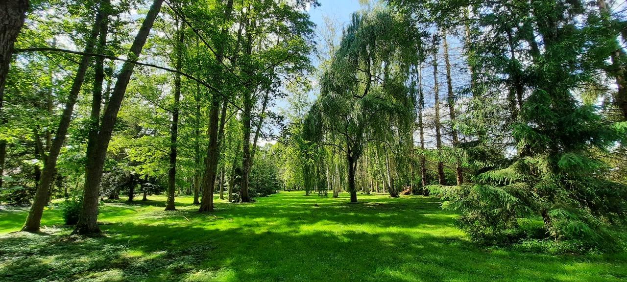 MONTARGIS A 1h30 de PARIS - Charmante MAISON avec ETANG de 5000 m2, édifiée sur plus de 2 Hectares et bordé par une rivière 15