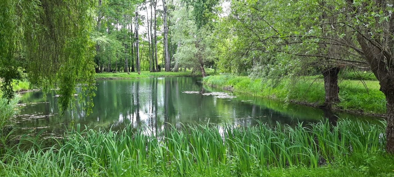 MONTARGIS A 1h30 de PARIS - Charmante MAISON avec ETANG de 5000 m2, édifiée sur plus de 2 Hectares et bordé par une rivière 16