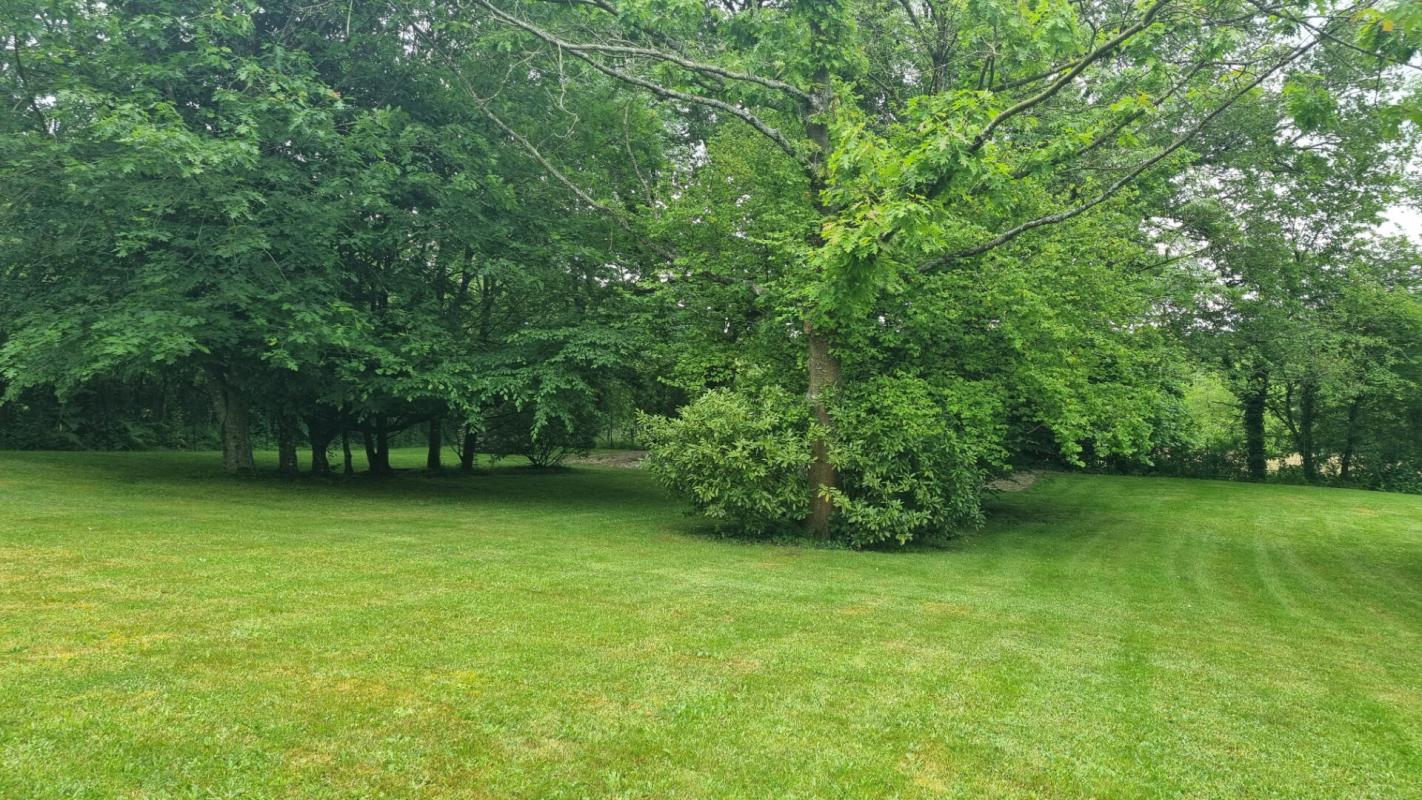 SAINT-DENIS-D'ORQUES Terrain  constructible Saint Denis D' Orques 2900 m2 8