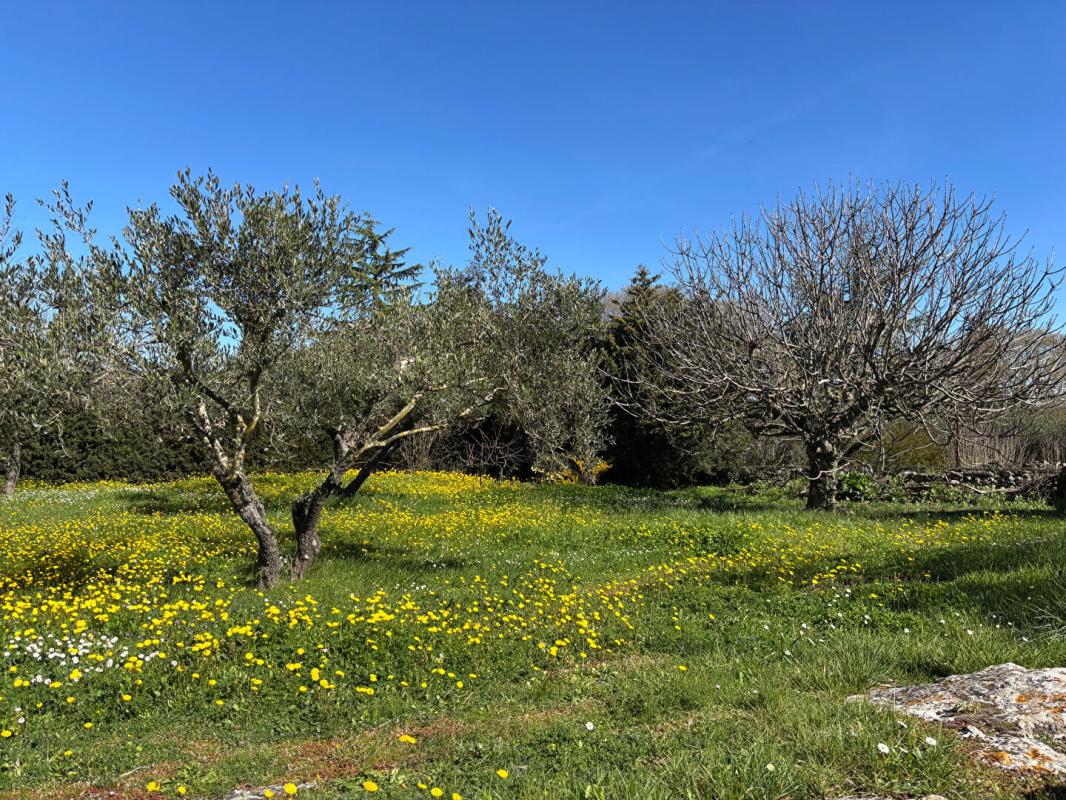UZES Villa avec vue ! 6