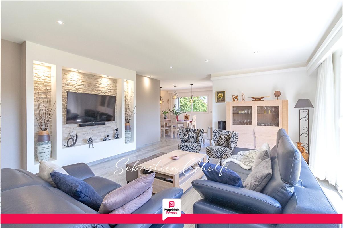 ROMORANTIN-LANTHENAY belle maison de plain-pied avec 4 chambres,2 garages, terrain de pétanque 6