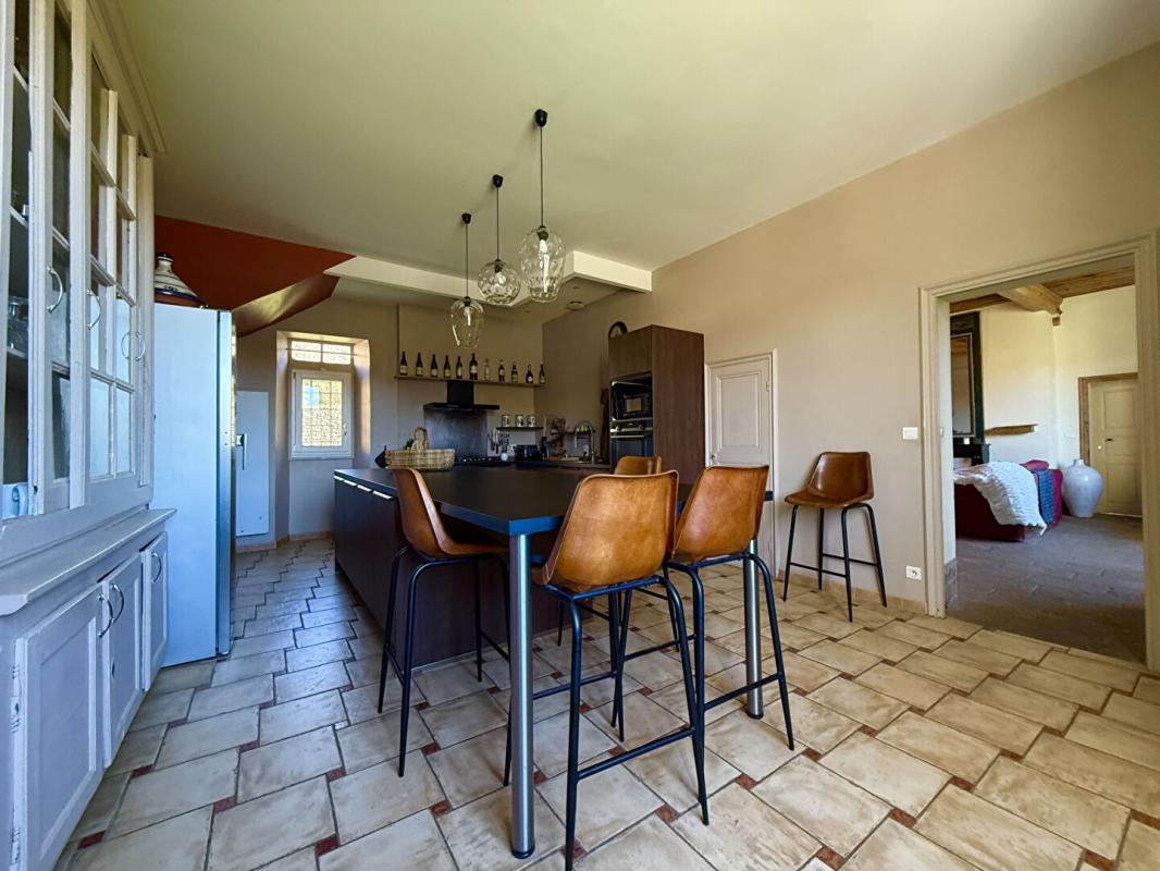 CHASSIERS Demeure de prestige Chassiers 8 pièce(s) 369 m2 9