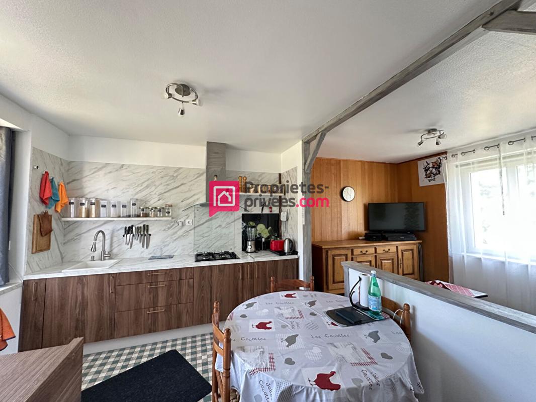 CHINON Maison ancienne Chinon 12 pièce(s) 275m2 avec 3 gîtes et terrain 2,5ha 11