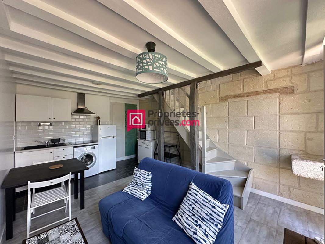 CHINON Maison ancienne Chinon 12 pièce(s) 275m2 avec 3 gîtes et terrain 2,5ha 13