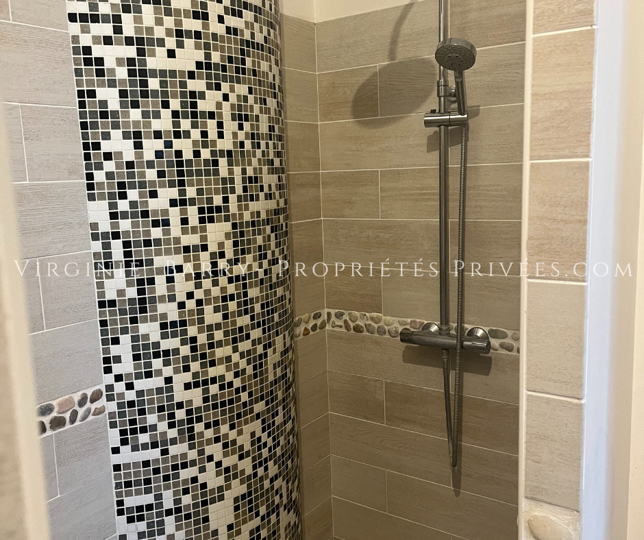 SAINT-AGNANT BELLE PROPRIETE AVEC GITE A 15 MINUTES DE ROCHEFORT 10