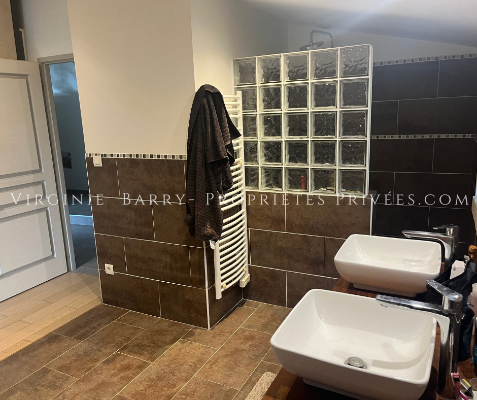 SAINT-AGNANT BELLE PROPRIETE AVEC GITE A 15 MINUTES DE ROCHEFORT 13