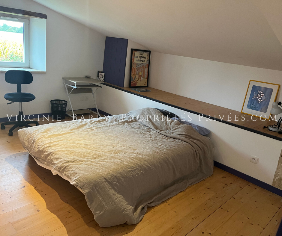 SAINT-AGNANT BELLE PROPRIETE AVEC GITE A 15 MINUTES DE ROCHEFORT 5