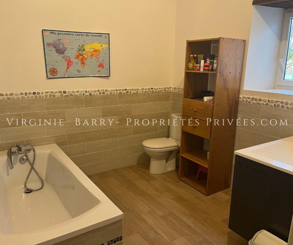 SAINT-AGNANT BELLE PROPRIETE AVEC GITE A 15 MINUTES DE ROCHEFORT 9