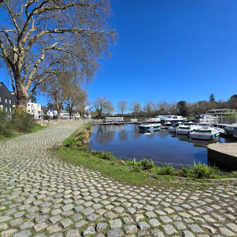 SUCE-SUR-ERDRE MAISON FAMILIALE D'EXCEPTION 18