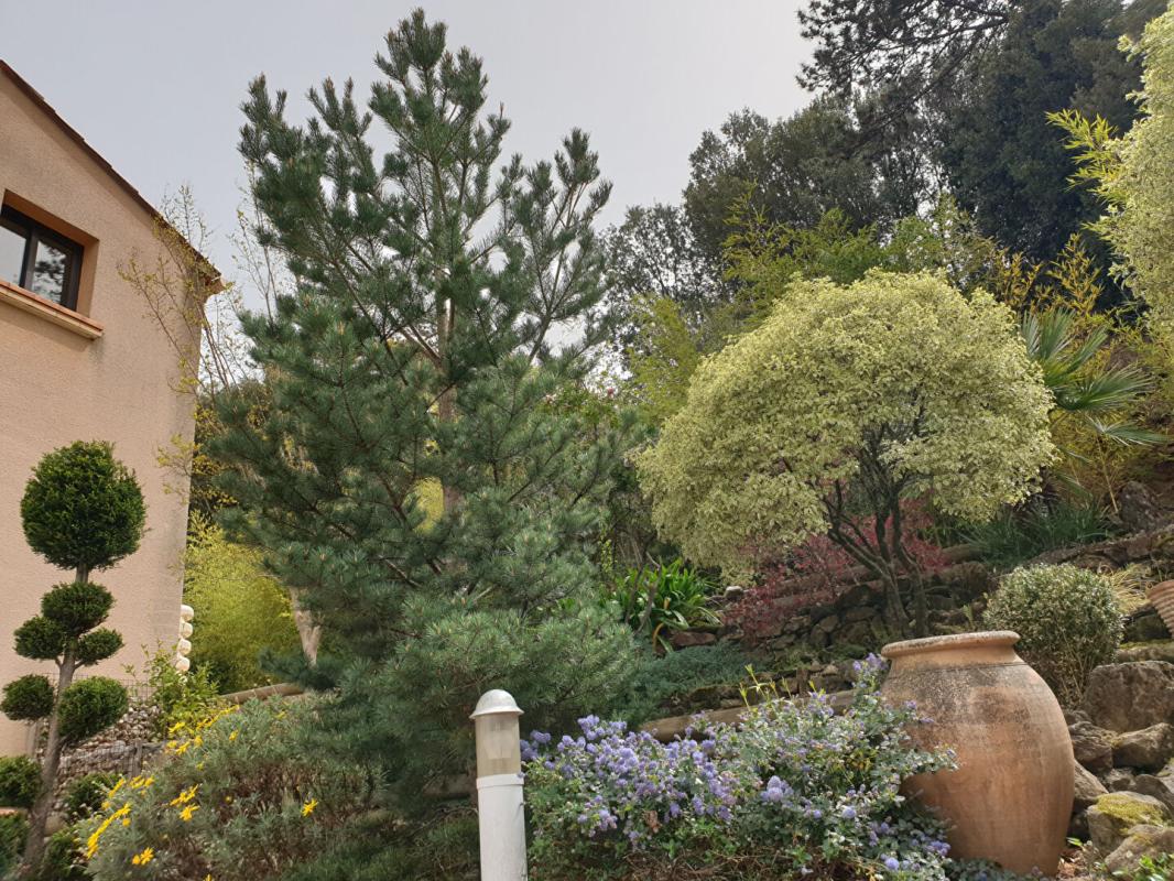 CERET Un ensemble regroupant une maison d'architecte indépendante  avec grand garage, local professionnel et un locatif à Amélie les Bains 14