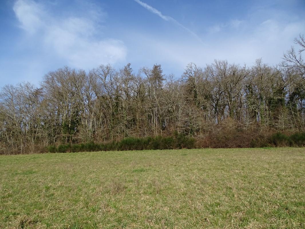 THONAC Terrain Thonac 19000 m2 3