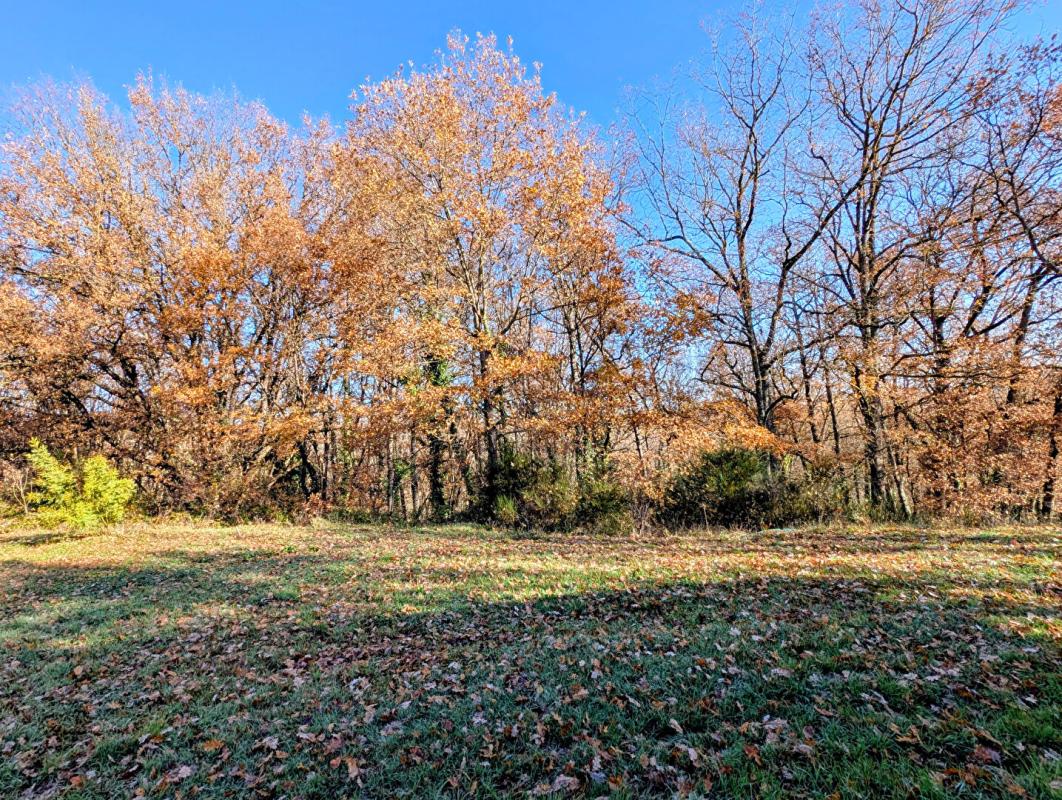 LE FOUSSERET Maison Le Fousseret 6 pièce(s) 117 m2 avec 4 chambres 16