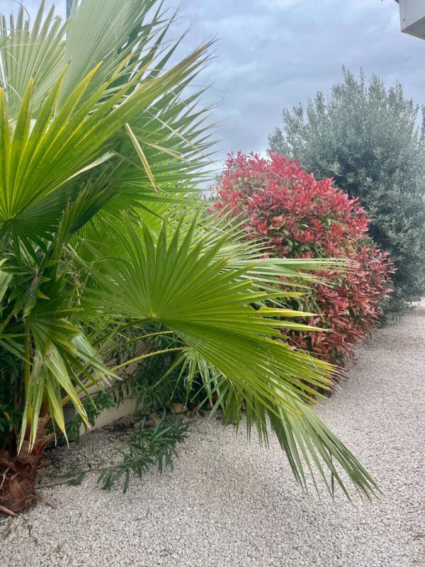 PINET Villa récente de plain pied à 10 mns des plages 3