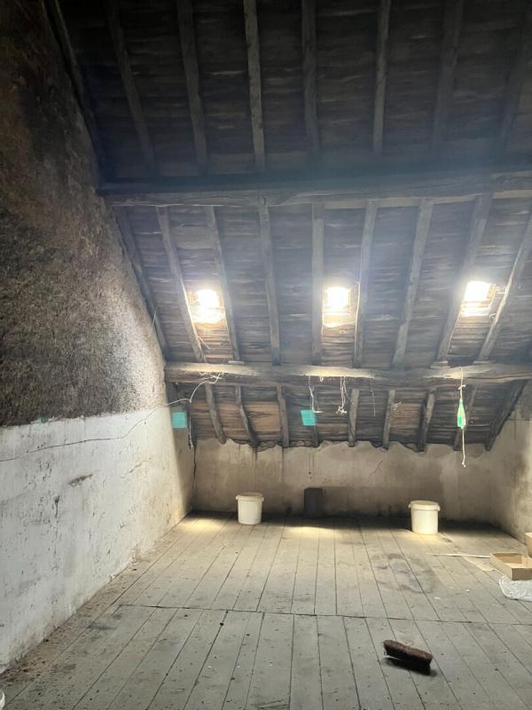 LE MONTET Le Montet Maison + Cour + cave + Jardin + puits + garage + dépendances 12