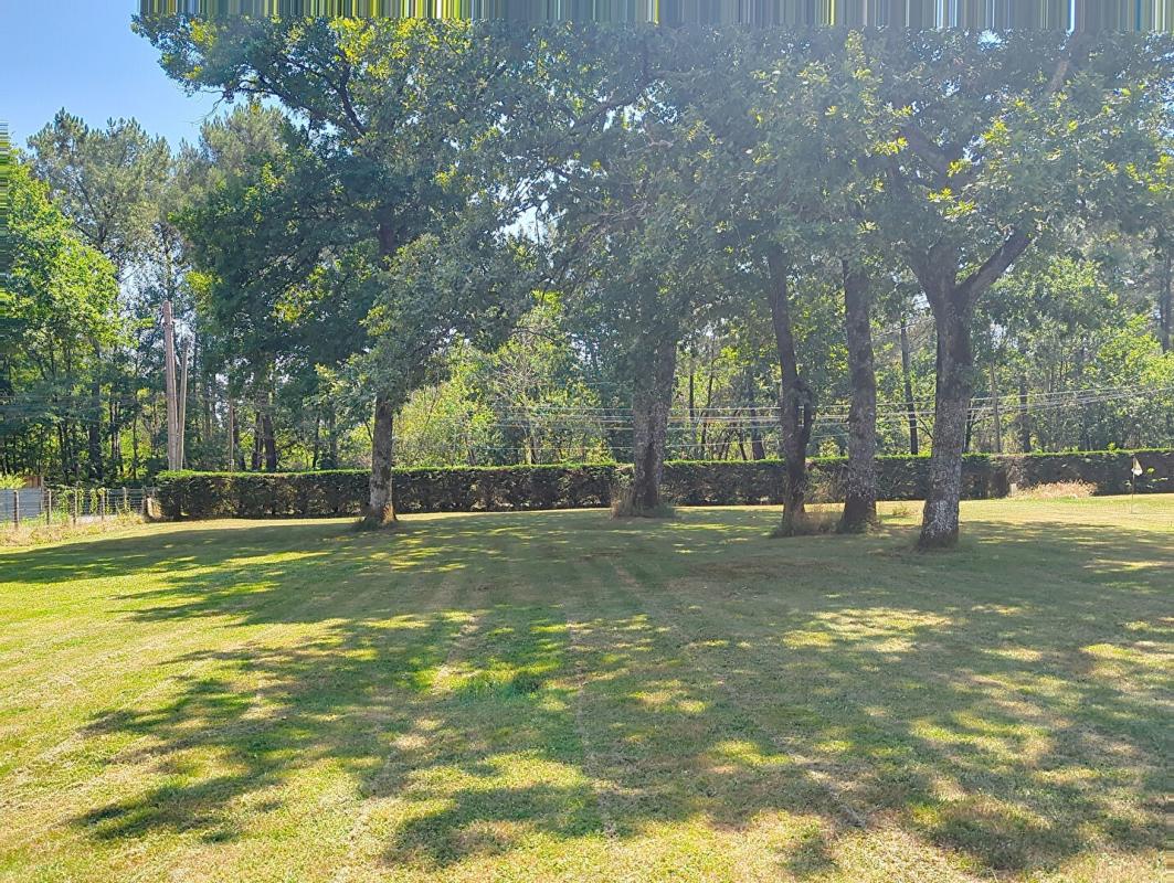 SAINT-JEAN-D'ILLAC Terrain Saint Jean D Illac 1348m2 1