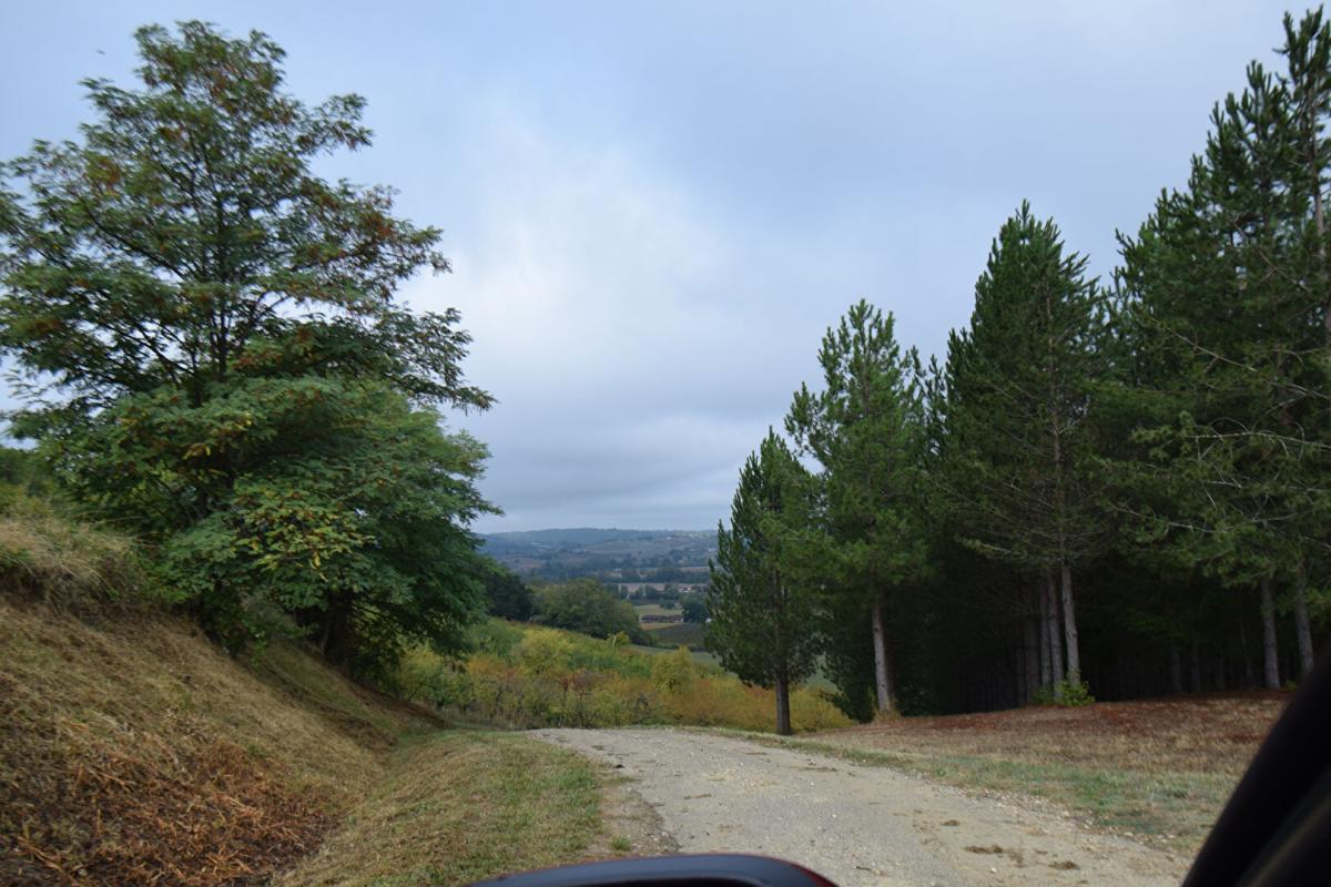 MONTAUBAN 82130, Lafrançaise -  Maison / Fermette isolée  242 m² , 7 p., 4 ch. ,  sur terrain de près de 1Ha. avec 4hA supplémentaires en option 17