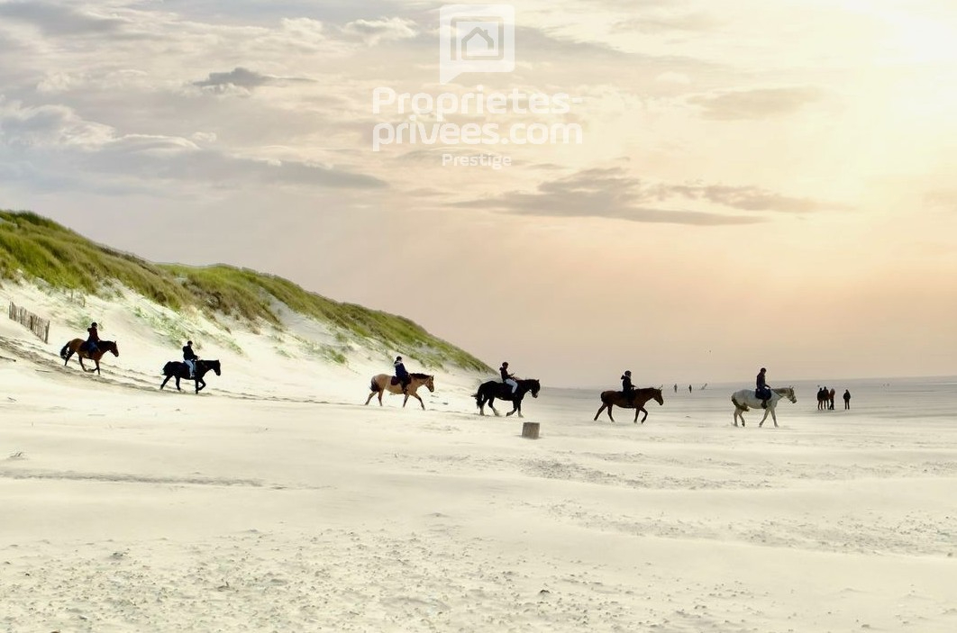 LE TOUQUET-PARIS-PLAGE MAISON FAMILIALE LE TOUQUET PARIS-PLAGE 7