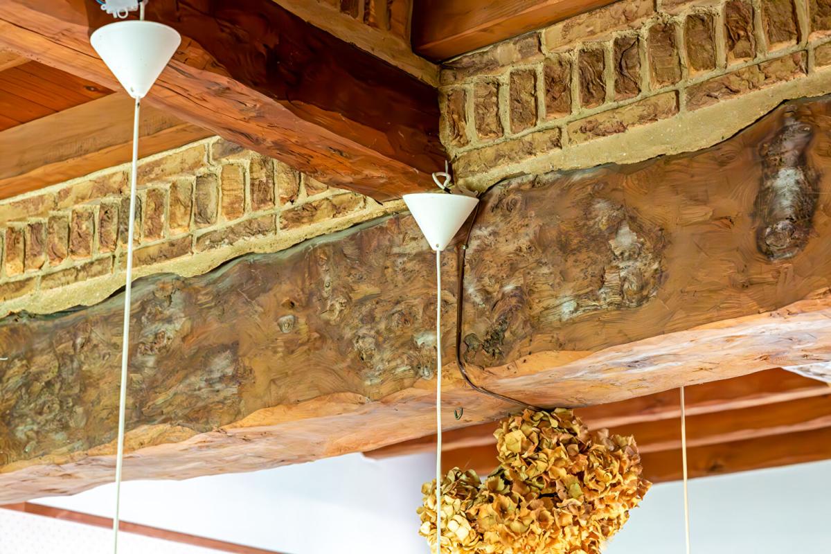 FECAMP Authentique briques et silex, 250m2 dont 8 chambres. Beaux volumes 17