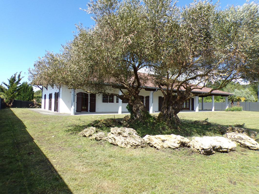 SOUSTONS VILLA CONPTEMPORAINE AVEC CHARME SOUSTONS 6