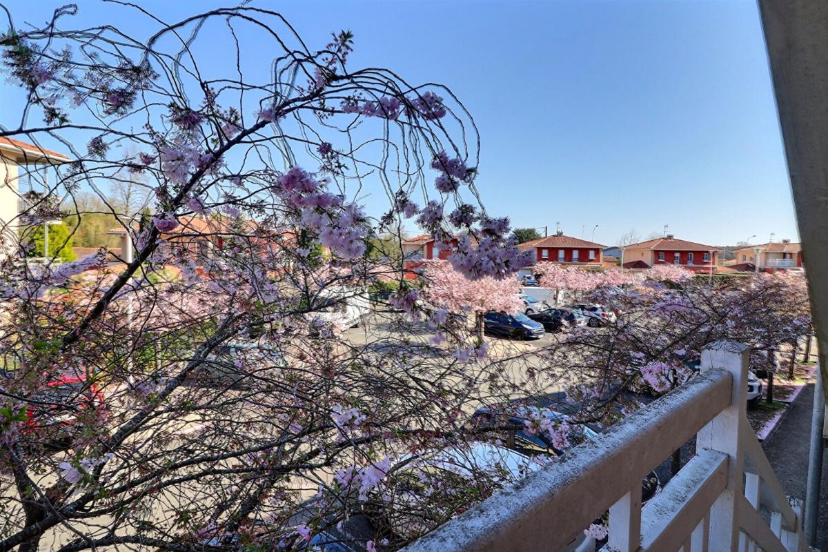 CASTELNAU-DE-MEDOC Appartement  avec extérieur 7