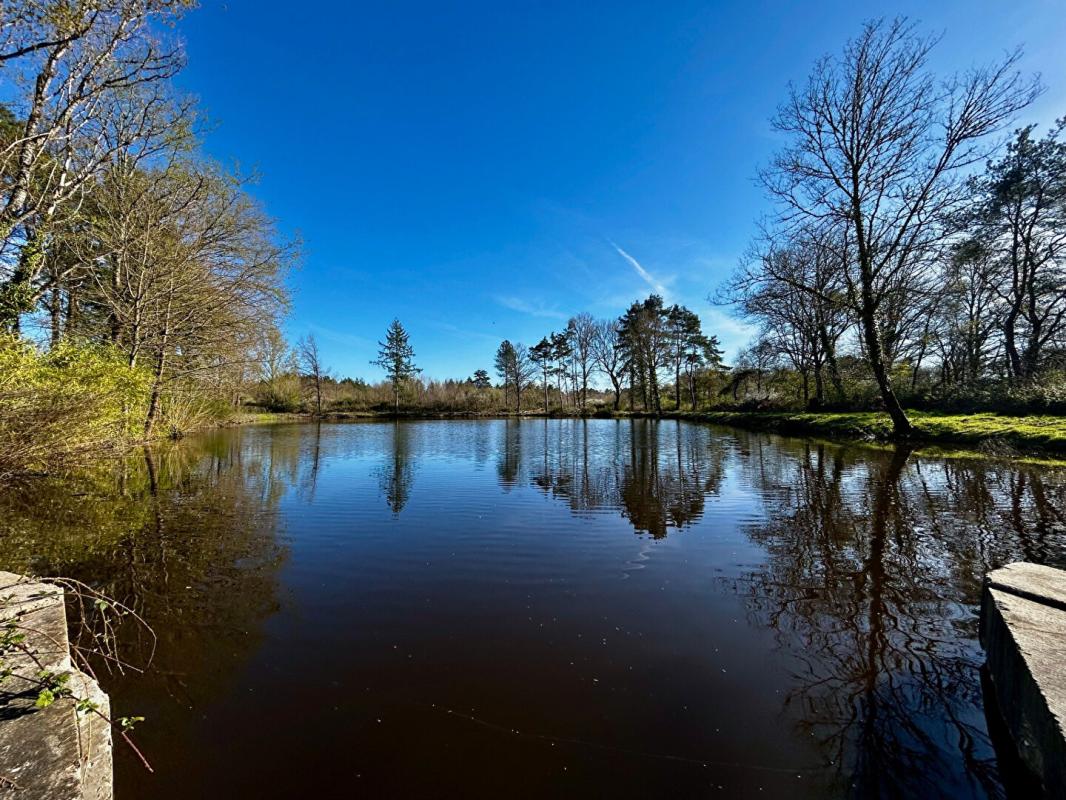 LANGON Terrain de loisirs Langon Sur Cher 15515 m2 1
