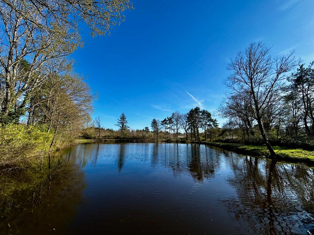 LANGON Terrain de loisirs Langon Sur Cher 15515 m2 2