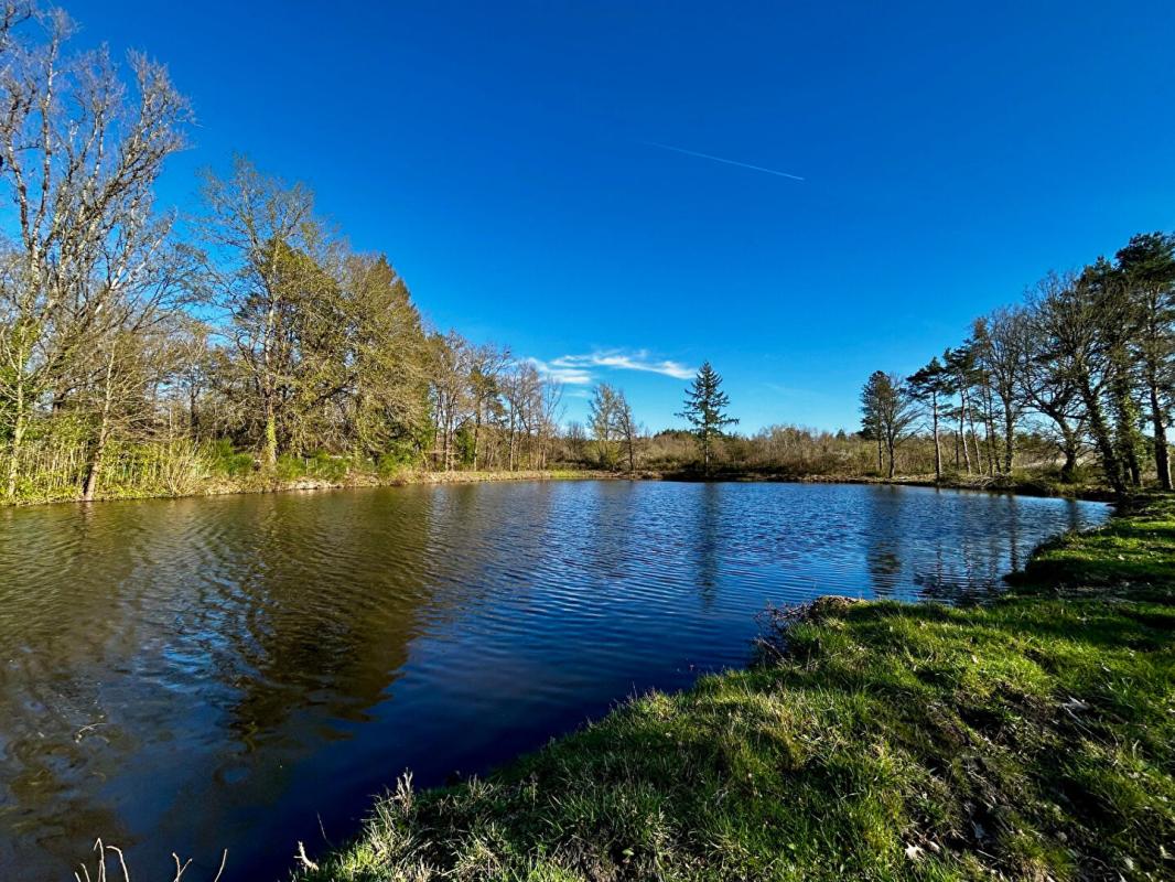 LANGON Terrain de loisirs Langon Sur Cher 15515 m2 3