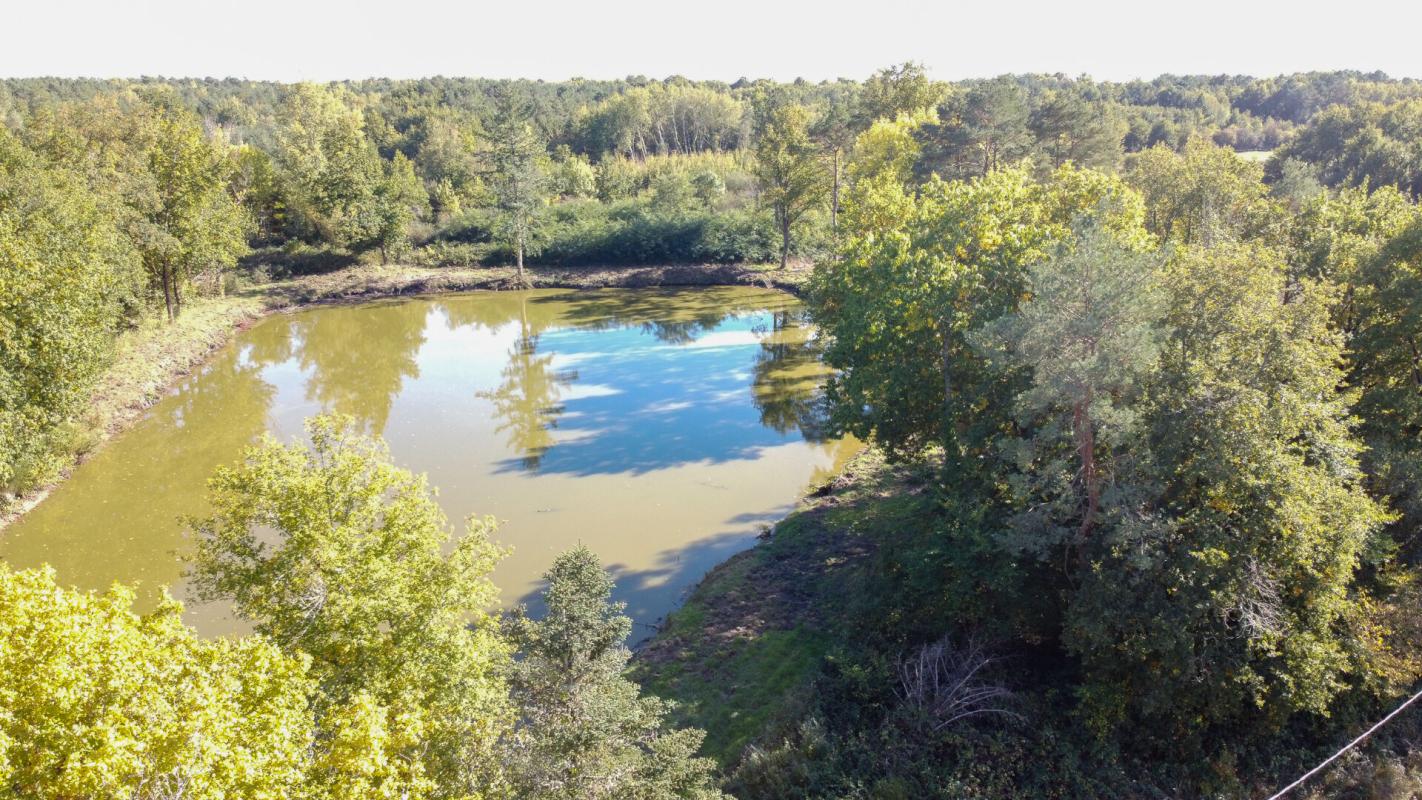 LANGON Terrain de loisirs Langon Sur Cher 15515 m2 5