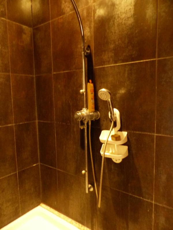 CHATILLON-SUR-LOIRE Maison de ville Chatillon Sur Loire 10 pièce(s) 300 m2 VIAGER OCCUPÉ 13