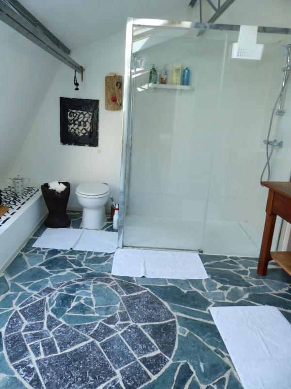 CHATILLON-SUR-LOIRE Maison de ville  10 pièce(s) 300 m2 VENTE À TERME OCCUPÉE 9