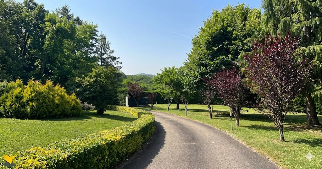 SAINT-MATHIEU Maison contemporaine à Saint Mathieu avec 1,3 ha arboré avec piscine chauffée et pool house 2